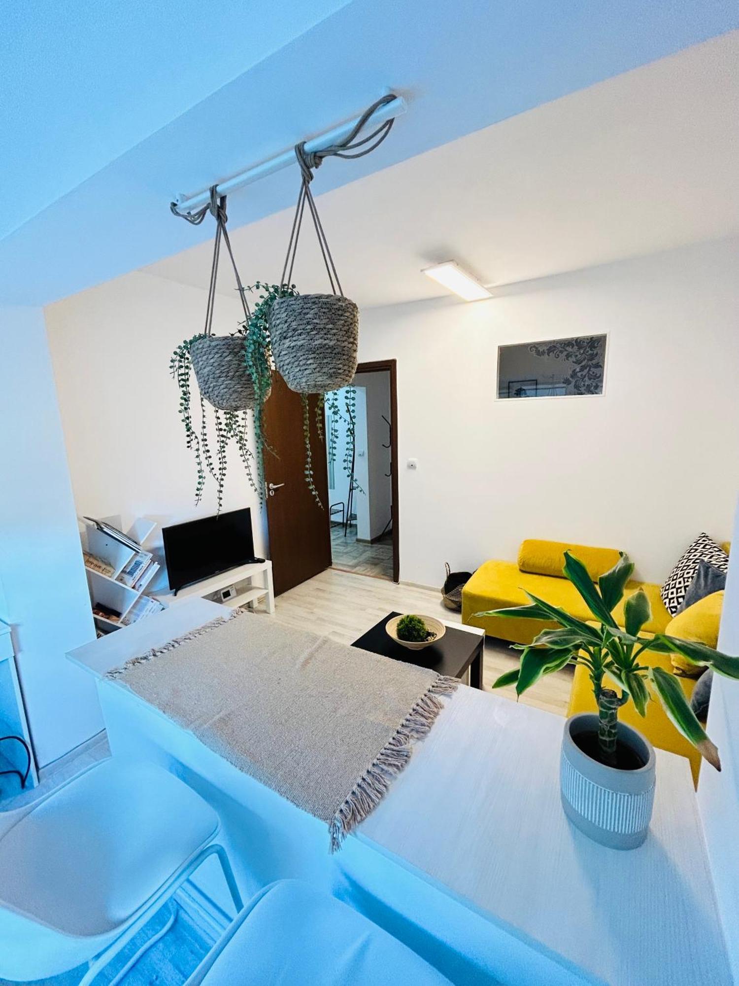 Alisz Apartments Timişoara Eksteriør bilde