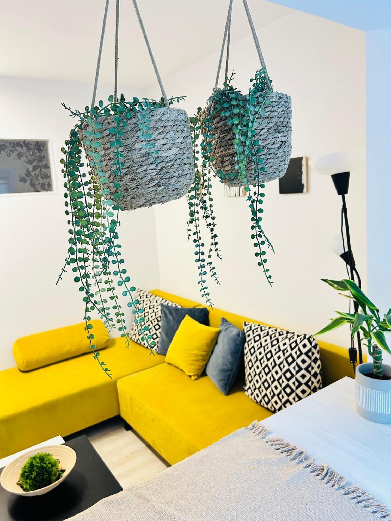 Alisz Apartments Timişoara Eksteriør bilde