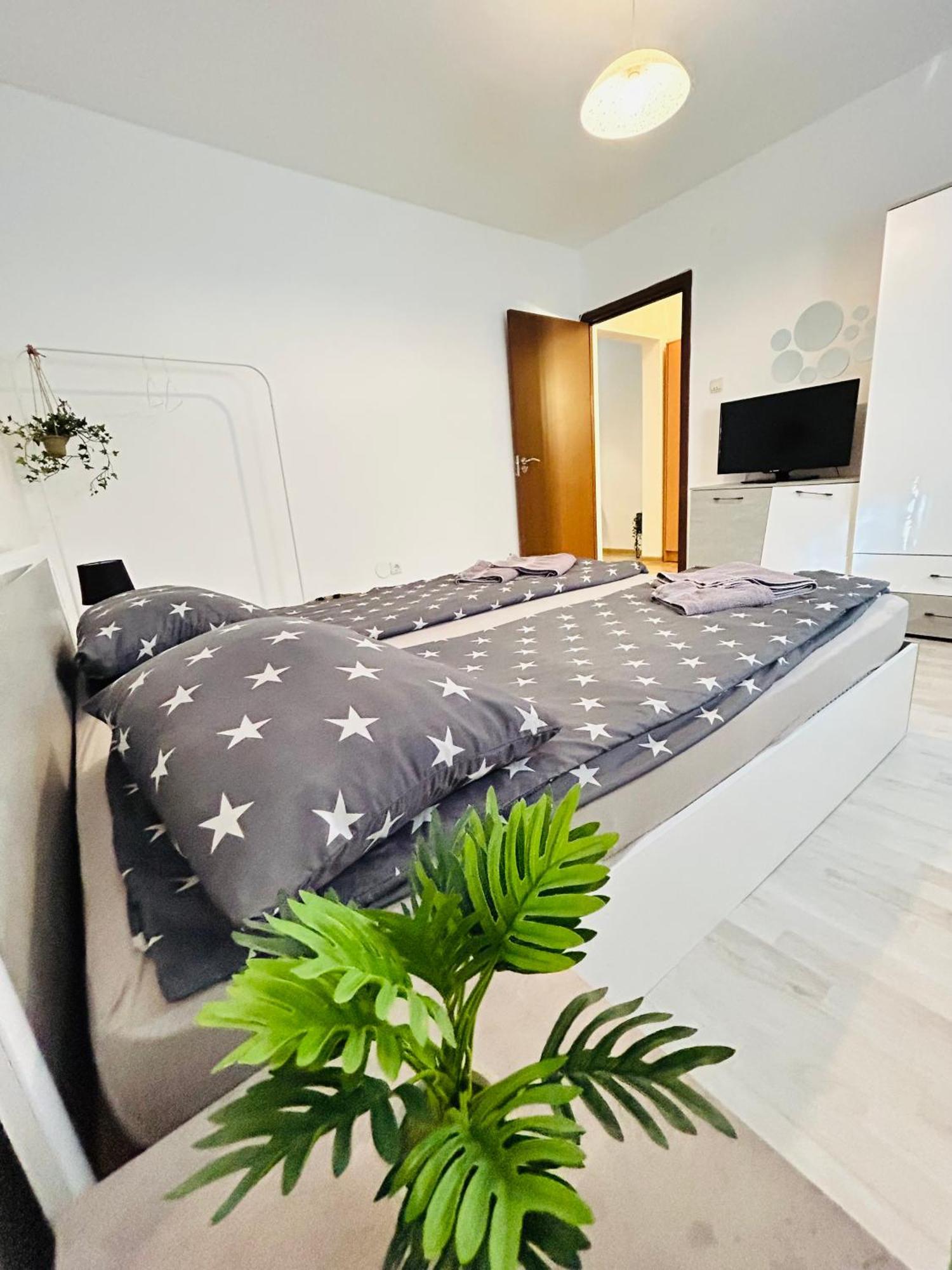 Alisz Apartments Timişoara Eksteriør bilde